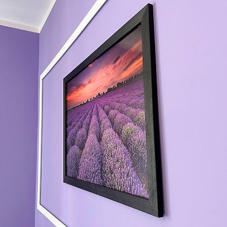 Apartament Lawendowy Wałbrzych Εξωτερικό φωτογραφία