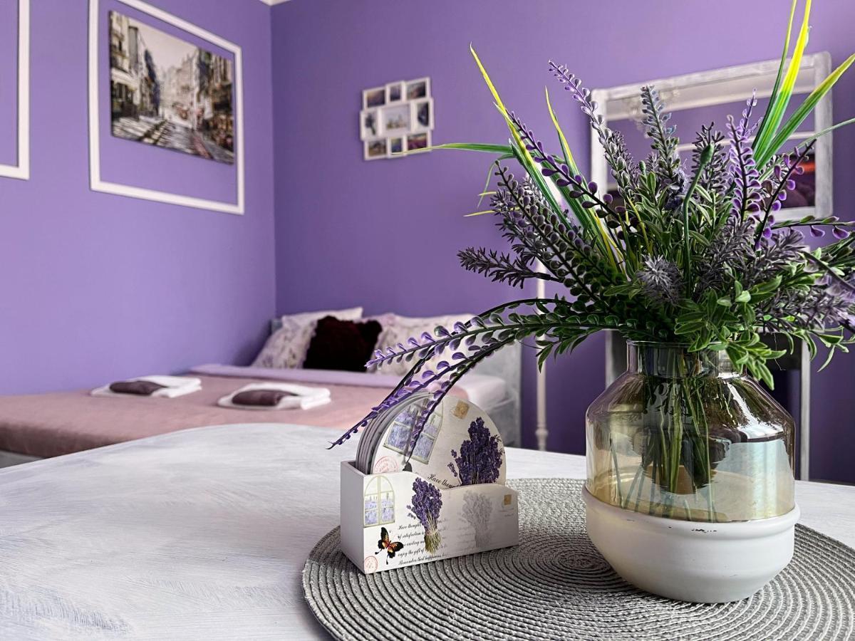 Apartament Lawendowy Wałbrzych Εξωτερικό φωτογραφία