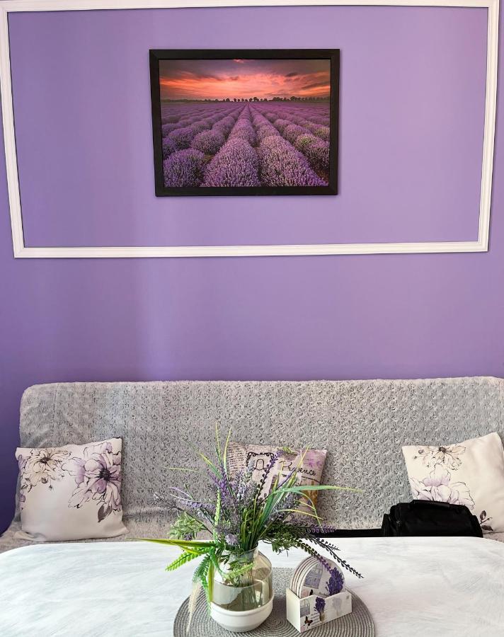 Apartament Lawendowy Wałbrzych Εξωτερικό φωτογραφία